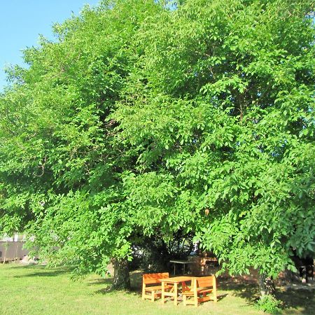 Pod Orehi Postojna Εξωτερικό φωτογραφία