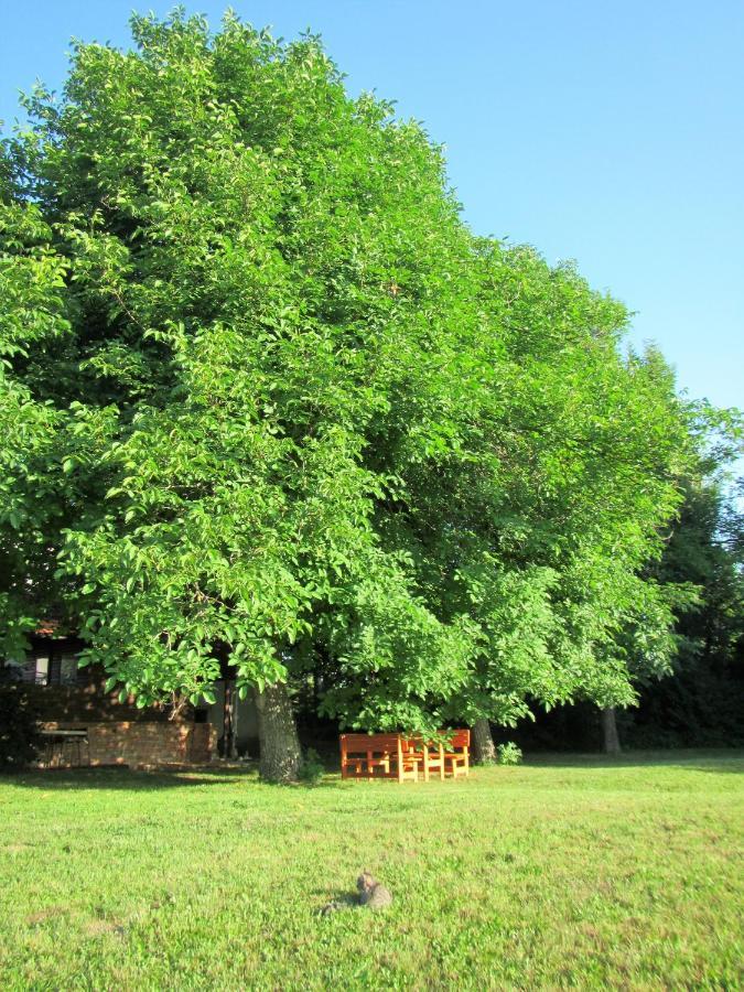 Pod Orehi Postojna Εξωτερικό φωτογραφία